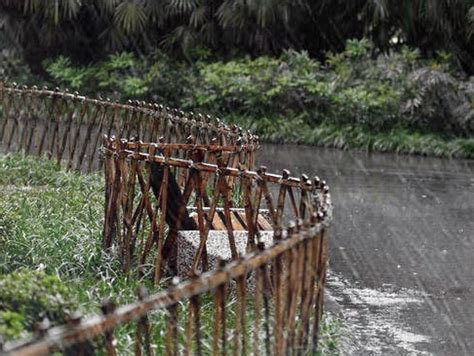 夢見突然下大雨|周公解夢大全：夢見下大雨，表明你的運勢將有這些改變